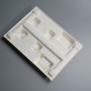 White Biodegradable Molded Pulp Product Packaging