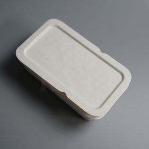 Biodegradable Bagasse Food Takeaway Boxes with Lid