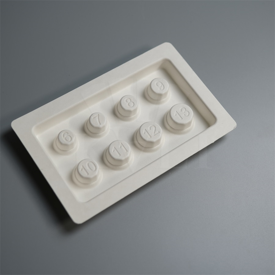 8 Compartment Biodegradable Box